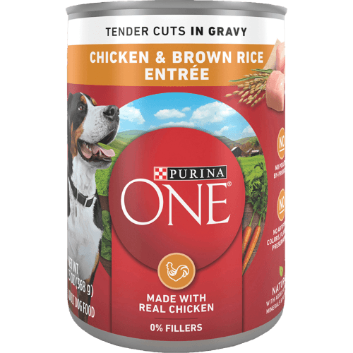 Purina ONE Chicken & Brown Rice Entrée Tender Cuts in Gravy Wet Dog Food