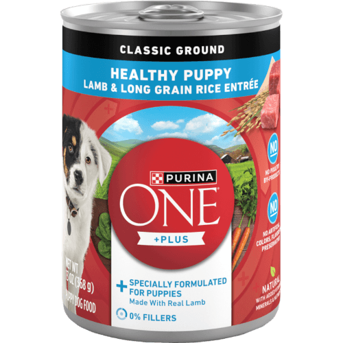 Purina ONE +Plus Healthy Puppy Classic Ground Lamb & Long Grain Rice Entrée Wet Dog Food
