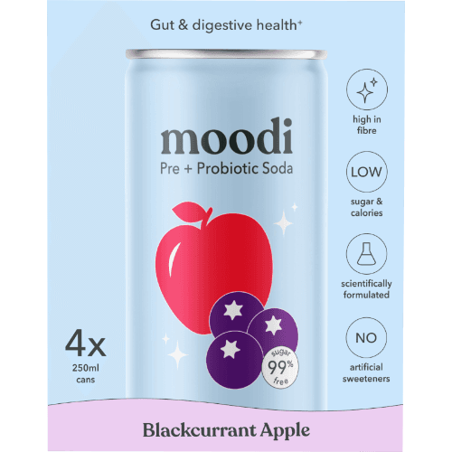 Moodi Blackcurrant Apple Carbonated Drinks