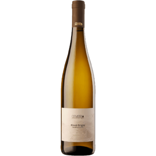 Cembra Pinot Grigio Trentino