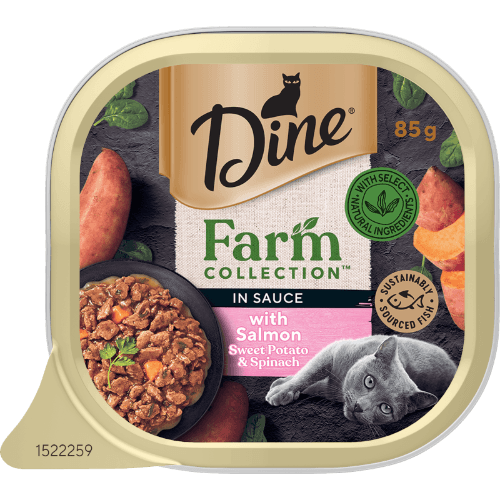 Dine Farm Collection Salmon Sweet Potato & Spinach Wet Cat Food
