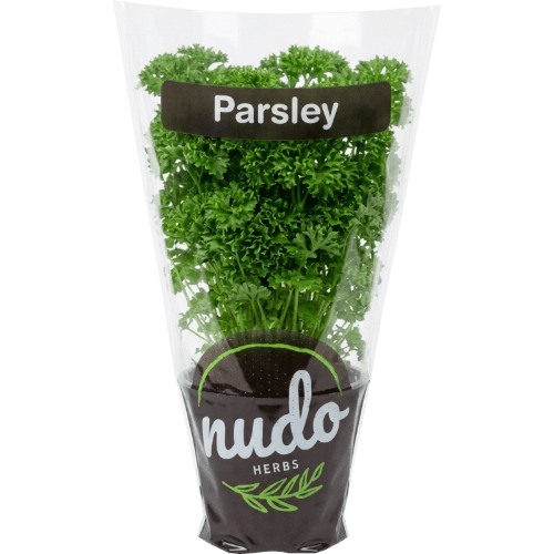 Nudo Parsley Herbs
