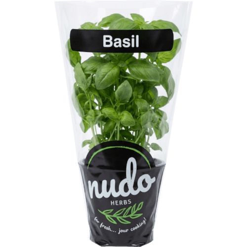 Nudo Basil Herbs