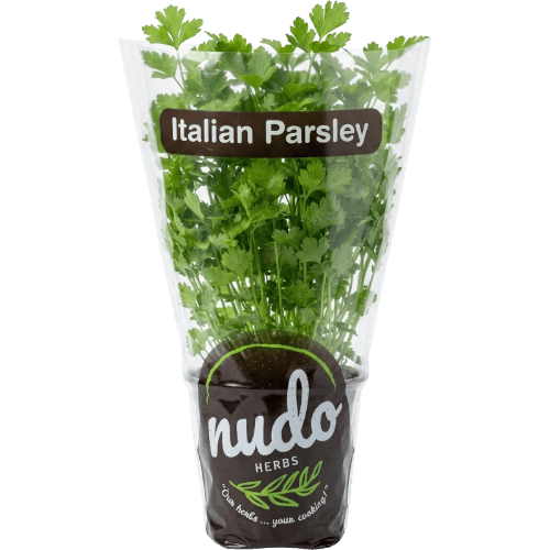 Nudo Italian Parsley Herbs