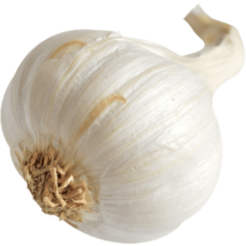 NZ Garlic