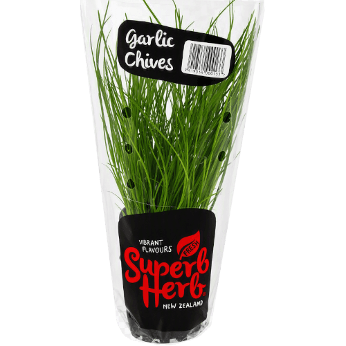 Potted Chives