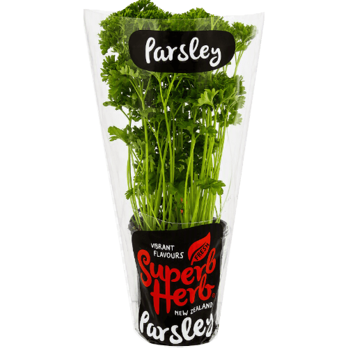 Potted Parsley