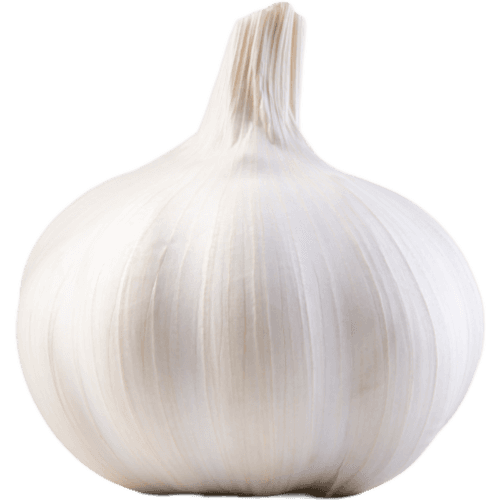 Fresh Direct 7 Pack of Garlic