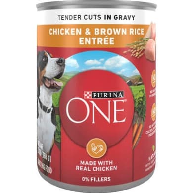 Purina ONE Tender Cuts in Gravy Chicken & Brown Rice Entrée Wet Dog Food - 13 oz (368 g)
