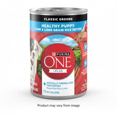 Purina ONE +Plus Healthy Puppy Wet Dog Food – Classic Ground Lamb & Long Grain Rice Entrée 368g