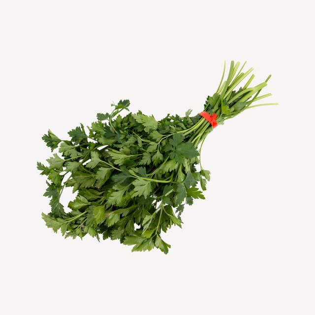 Italian Parsley Bunch