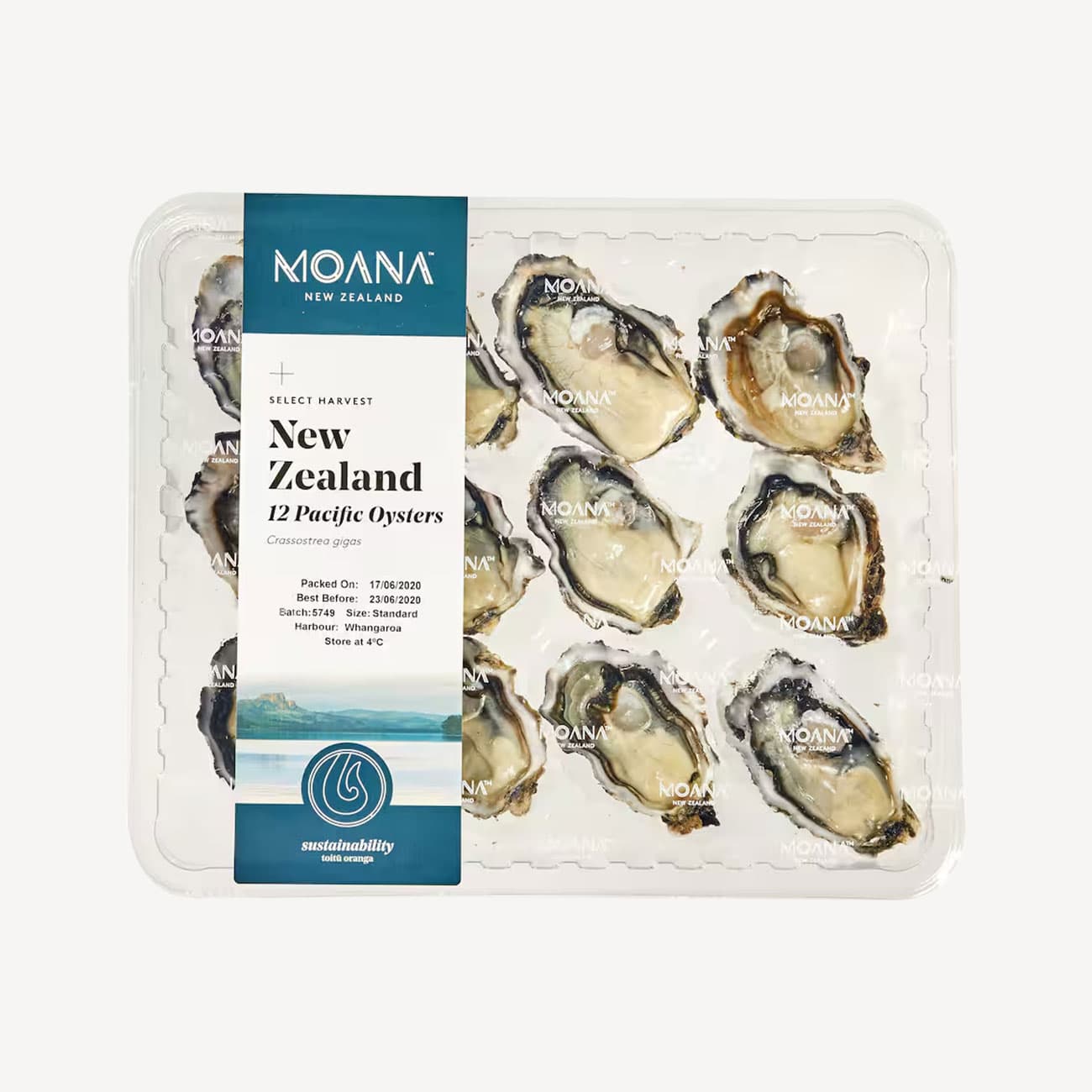 Moana Pacific Oysters 12 Pack