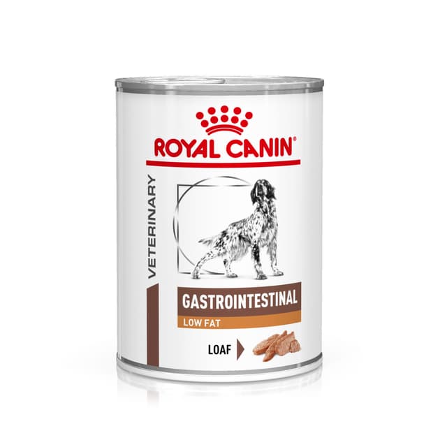 Royal Canin Vet Diet Gastro Intestinal Low Fat Dog Food - Can 420g