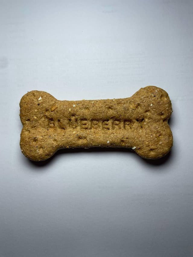 Sargents Dog Treat Blueberry Bone Single