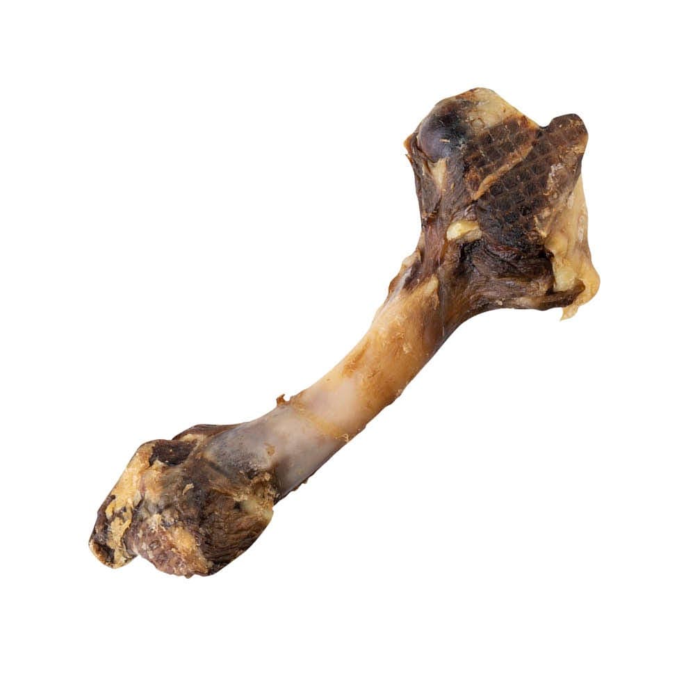 Butcher's Superior Cuts Air Dried Lamb Femur Bone Each