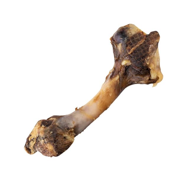 Butcher's Superior Cuts Air Dried Lamb Femur Bone Each