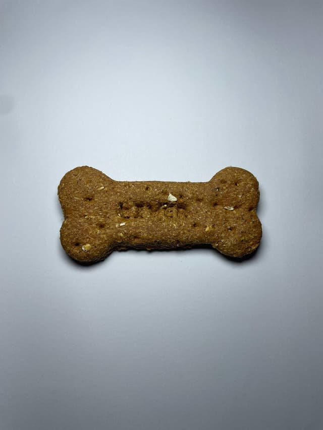 Sargents Dog Treat Lambs Fry Bone Single