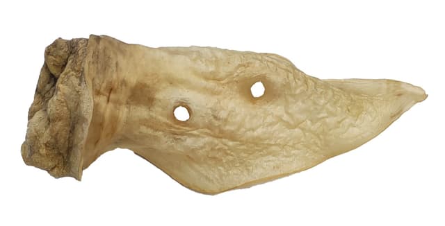 Butcher's Superior Cuts Venison Ear Dog Treat