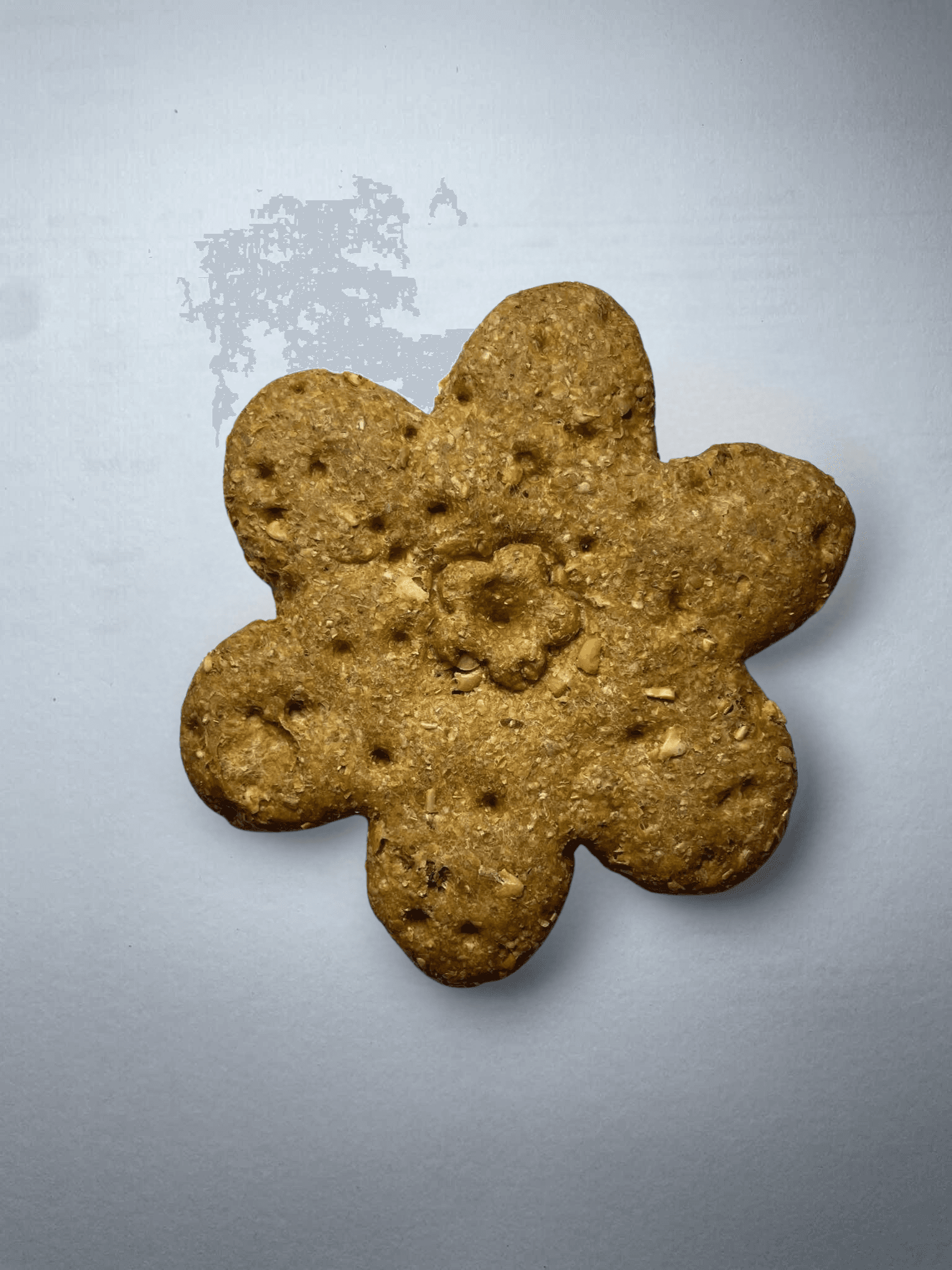 Sargents Dog Treat Banana Waffles Single