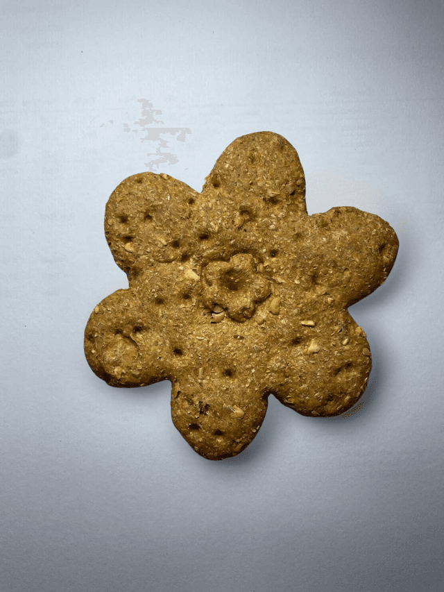 Sargents Dog Treat Banana Waffles Single